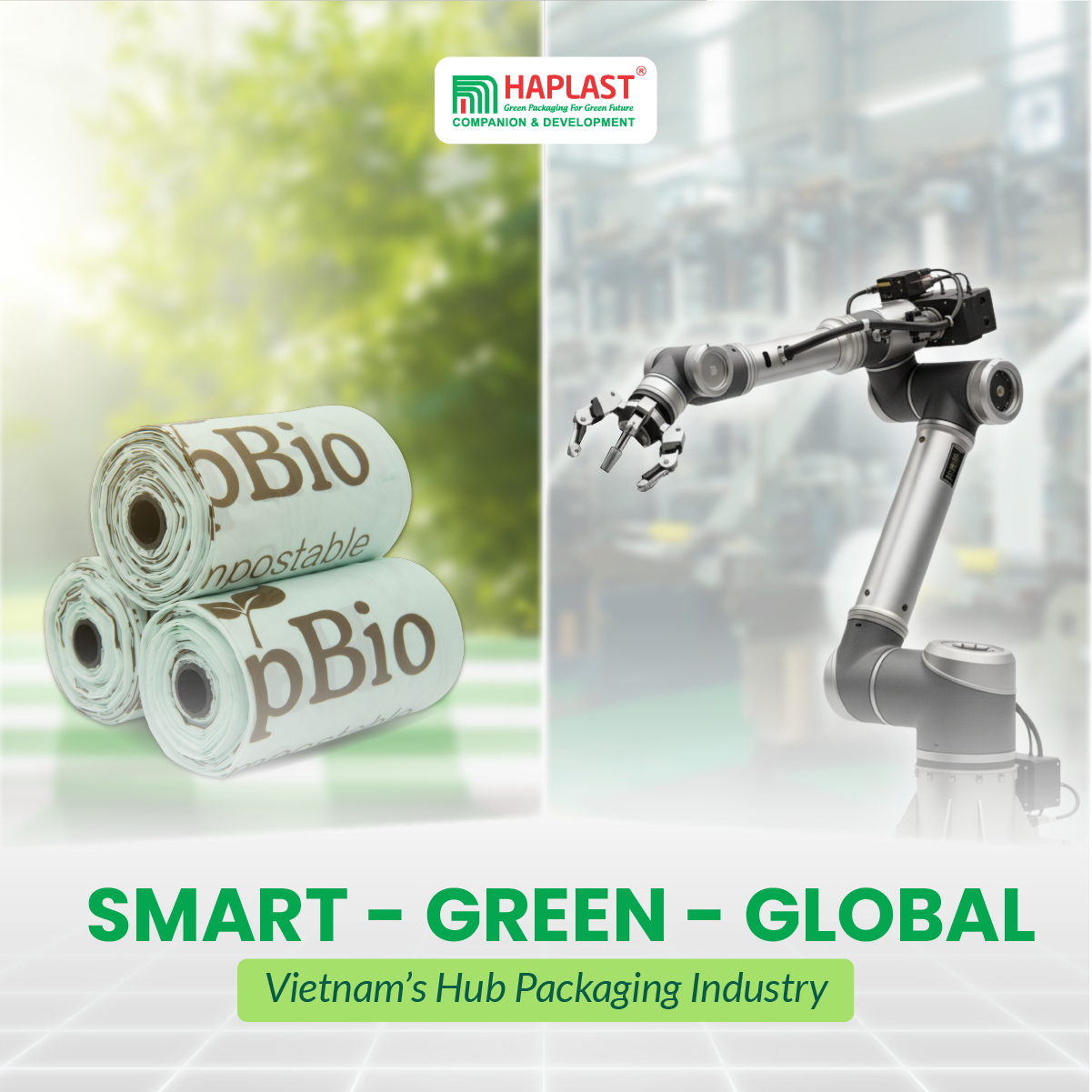 Hub Packaging in Vietnam: A Proven Global Success Story - HAPLAST GROUP