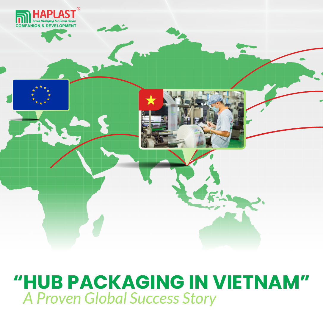 Hub Packaging in Vietnam: A Proven Global Success Story - HAPLAST GROUP